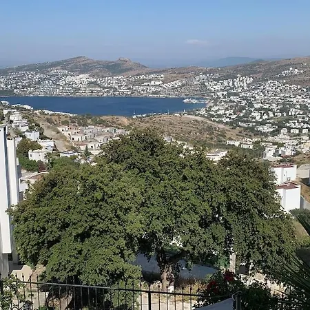 Apartment Thea Gundogan - Amazing! Bodrum
